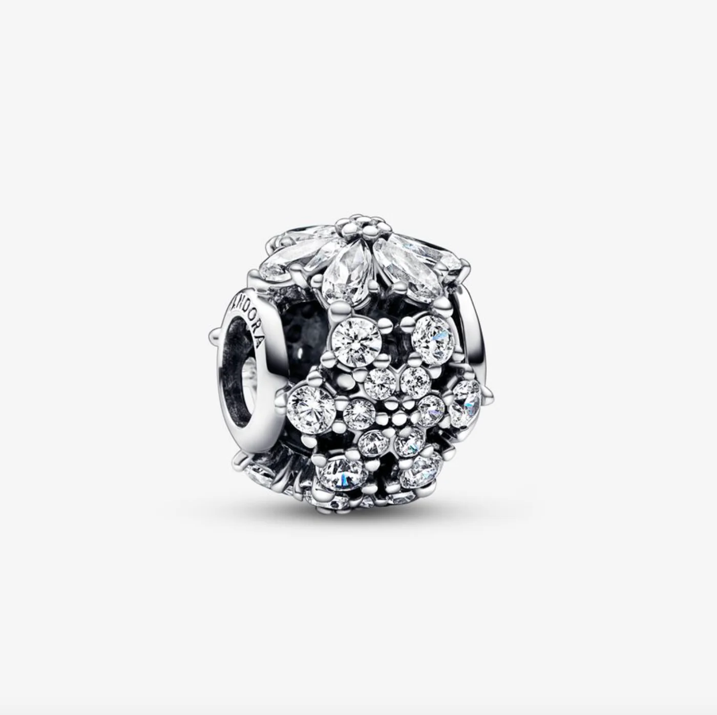 Pandora Sparkling Herbarium Cluster Round Charm