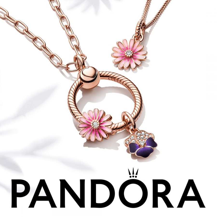 Pandora Link Chain Necklace - Image 4